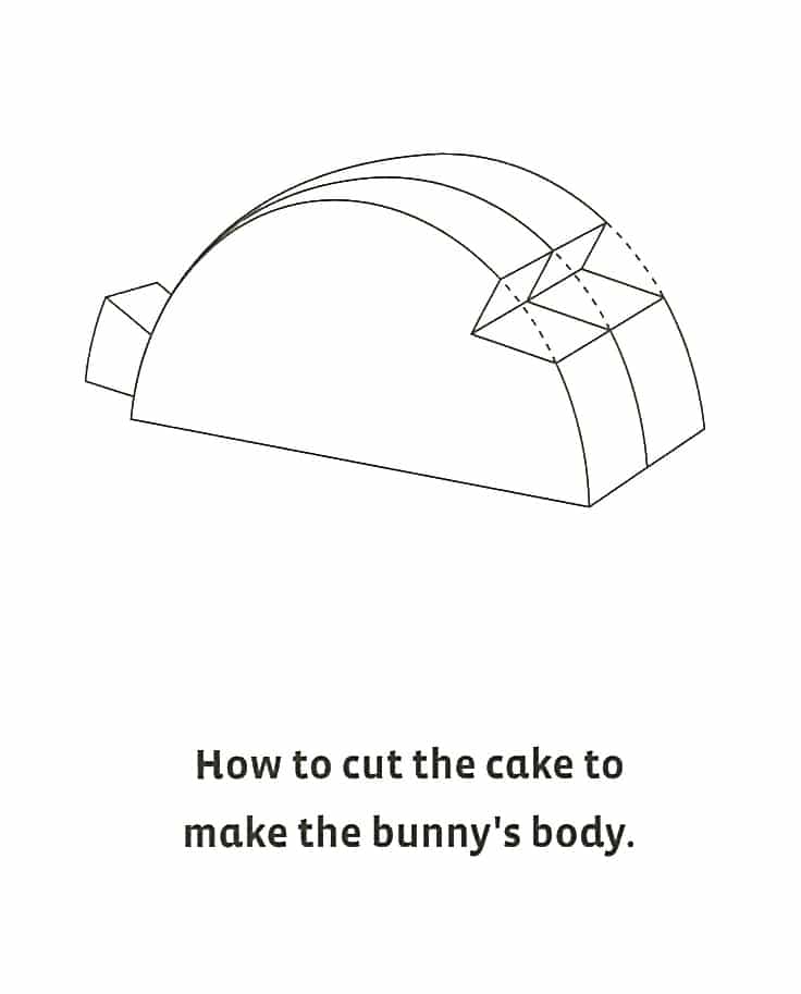bunny-diagram