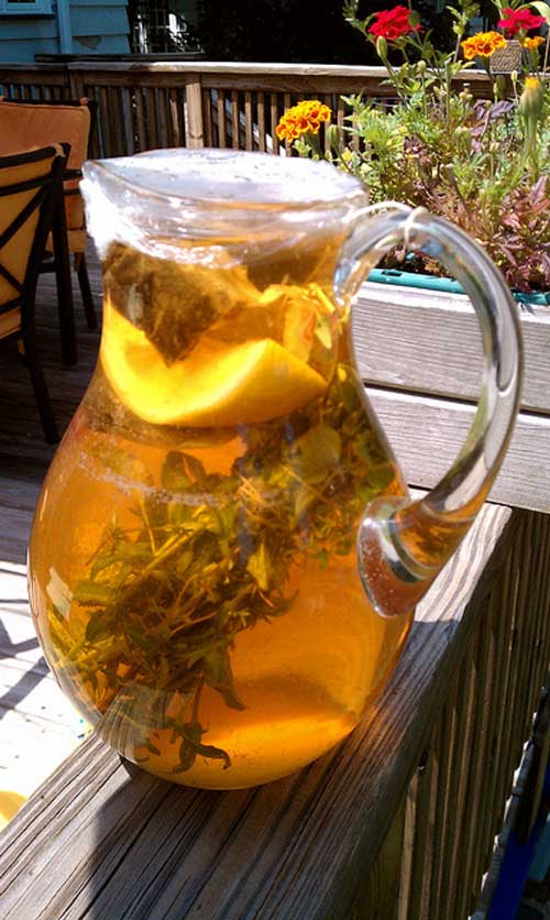 Herb Infused Sun Tea