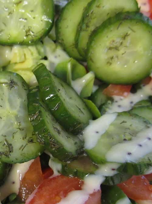 This light and delicious Cucumber Garden Salad is just perfect. Make some extra, and enjoy the leftovers for lunch the next day!