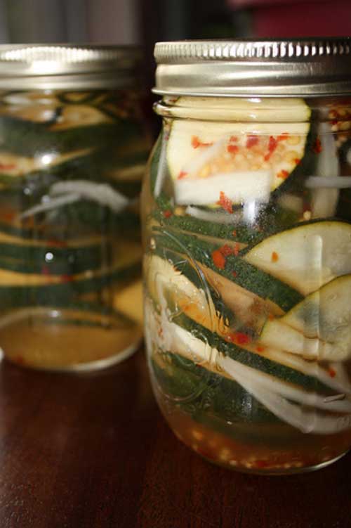 These Sweet n' Spicy Zucchini Pickles are yummy and totally delicious by themselves as a light snack or on hamburgers or anything that you would use regular pickles for with an extra kick!