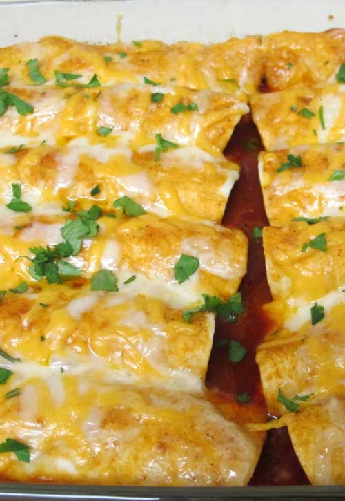 I REALLY wanted some enchiladas last week. This Cheesey Chicken Enchiladas recipe was so easy, I may just not go out for Tex-Mex ever again!