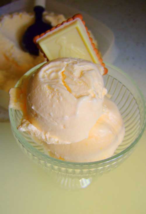 You remember those little cups of half vanilla, half orange sherbet, don't you? Well here is a Creamsicle Ice Cream that tastes just like those cups of yummy and it's so easy to make.