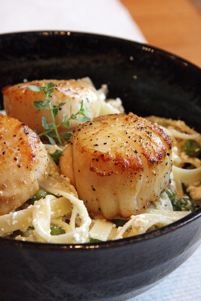 This Lemon-Ricotta Pasta with Seared Scallops is a ridiculously effortless pasta dish that comes together so quickly you’ll have tons of time left over to enjoy the last days of summer.