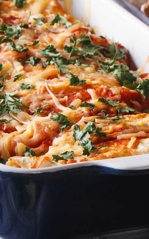 This cheesy chicken enchilada recipe is packed with flavor. A fun dish any night of the week.