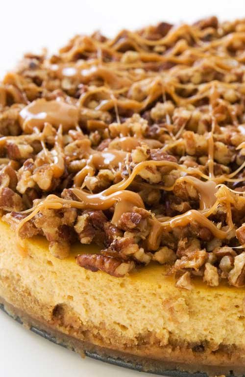 I guarantee this pumpkin pie cheesecake will be the creamiest cheesecake you'd ever had. And the turtle topping? Gives a nutty explosion of flavor that contrasts with that smoothness. Don't expect any leftovers.
