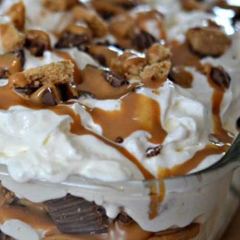 Don’t you love quick and easy dessert recipes, especially ones that don’t even require an oven! This Peanut Butter Cookie Lasagna is one of those recipes, and it is a great dessert for any occasion!