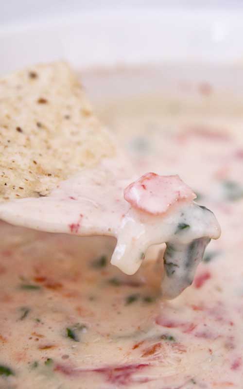 Best Ever White Queso