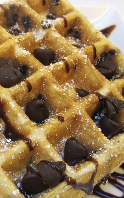 These amazing Chocolate Chip Belgian Waffles are more like a decadent dessert than anything else. Incredibly quick and simple to make, a perfect start to any morning!